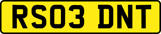 RS03DNT