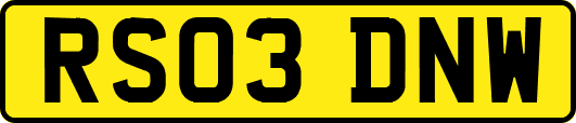 RS03DNW