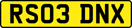 RS03DNX
