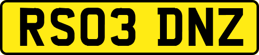 RS03DNZ