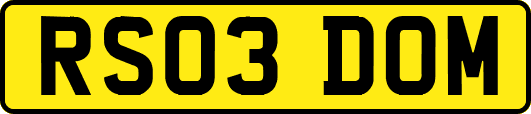 RS03DOM