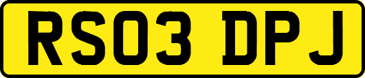 RS03DPJ