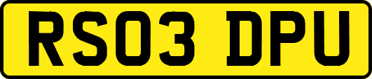 RS03DPU