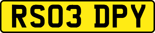 RS03DPY