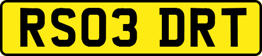 RS03DRT