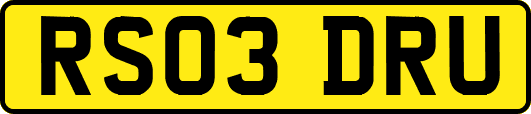 RS03DRU