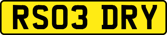 RS03DRY