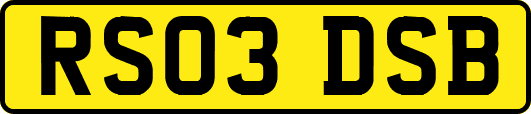 RS03DSB