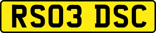 RS03DSC