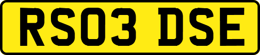 RS03DSE