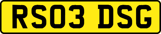 RS03DSG