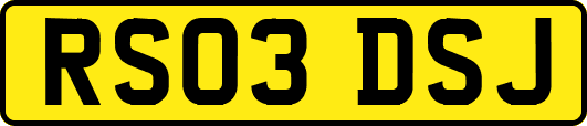 RS03DSJ