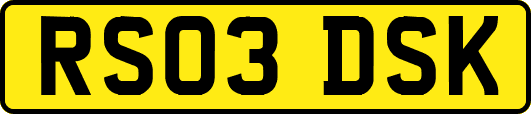 RS03DSK