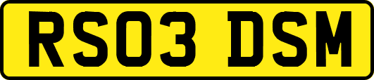 RS03DSM