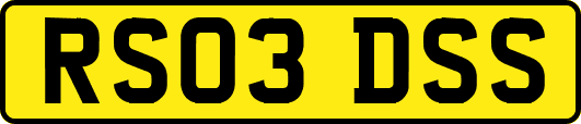 RS03DSS