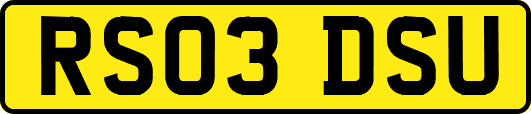 RS03DSU