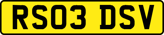 RS03DSV
