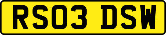 RS03DSW