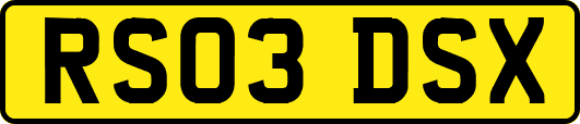 RS03DSX