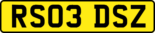 RS03DSZ