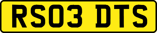 RS03DTS