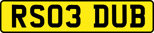 RS03DUB