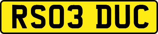 RS03DUC