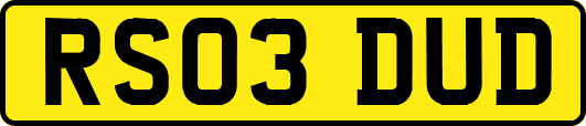 RS03DUD