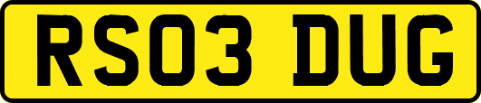 RS03DUG