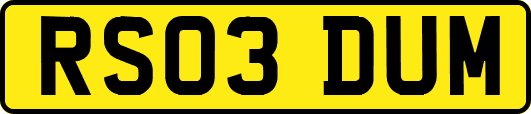 RS03DUM