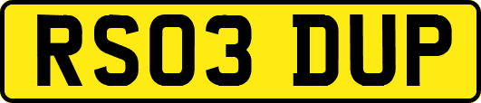RS03DUP
