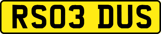 RS03DUS