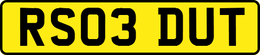 RS03DUT