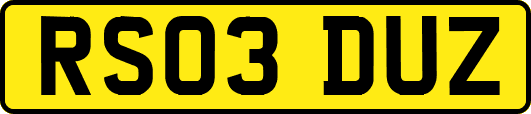 RS03DUZ