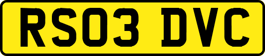 RS03DVC