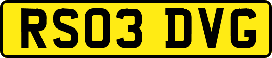 RS03DVG