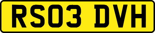 RS03DVH