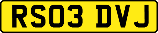 RS03DVJ