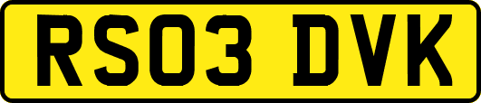 RS03DVK