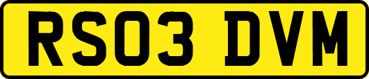 RS03DVM