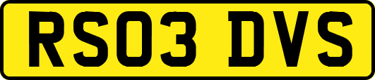 RS03DVS