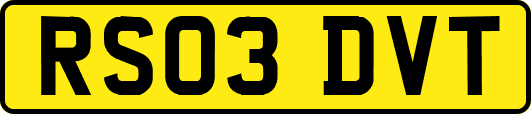 RS03DVT