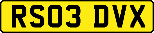 RS03DVX