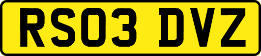 RS03DVZ