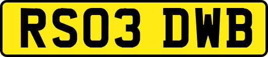 RS03DWB
