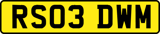 RS03DWM