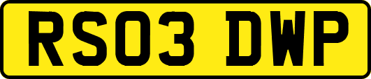 RS03DWP