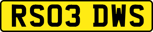 RS03DWS