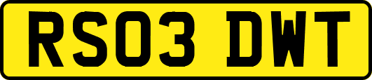 RS03DWT