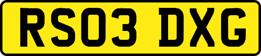 RS03DXG